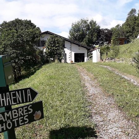 サン・ジャン・ピエ・ド・ポルMaison Florenchaenia Sur Le Chemin De Compostelleアパートメント エクステリア 写真