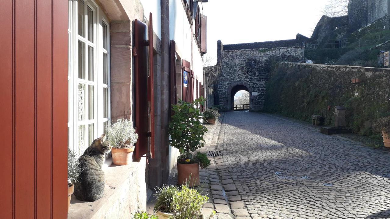 サン・ジャン・ピエ・ド・ポルMaison Florenchaenia Sur Le Chemin De Compostelleアパートメント エクステリア 写真