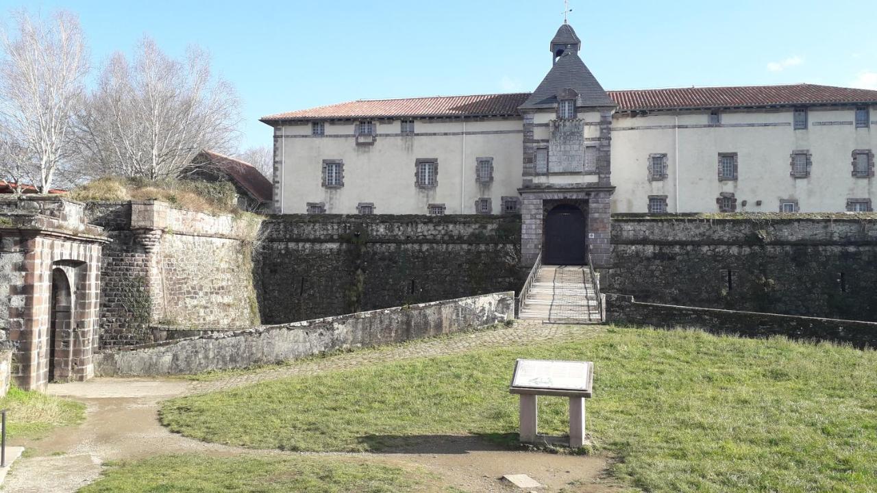 サン・ジャン・ピエ・ド・ポルMaison Florenchaenia Sur Le Chemin De Compostelleアパートメント エクステリア 写真