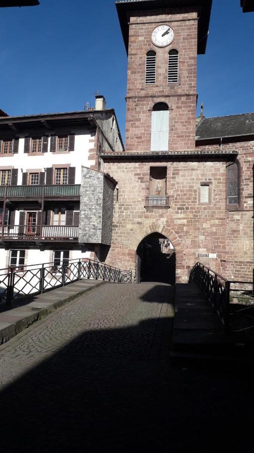 サン・ジャン・ピエ・ド・ポルMaison Florenchaenia Sur Le Chemin De Compostelleアパートメント エクステリア 写真