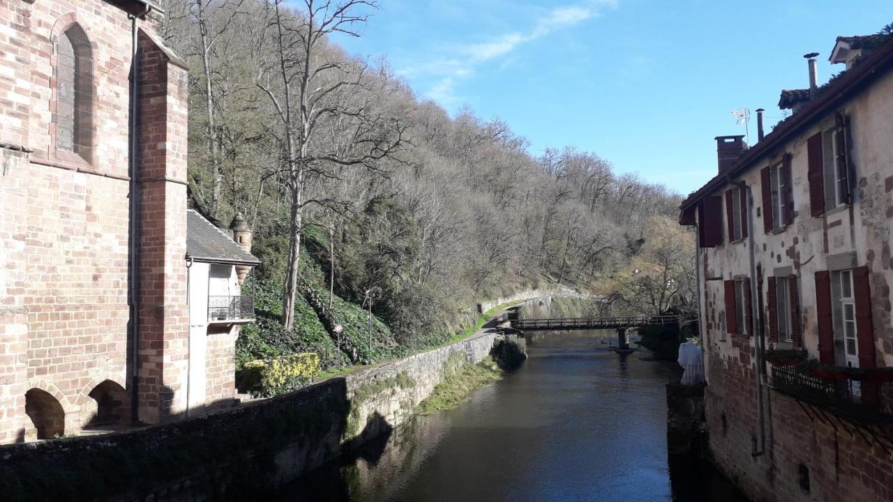 サン・ジャン・ピエ・ド・ポルMaison Florenchaenia Sur Le Chemin De Compostelleアパートメント エクステリア 写真